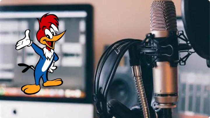 المبادئ وخطوات الدبلجة